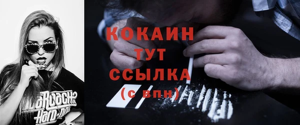 стаф Аркадак