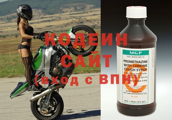 стаф Аркадак
