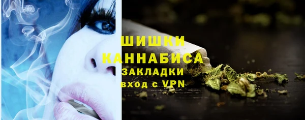 стаф Аркадак