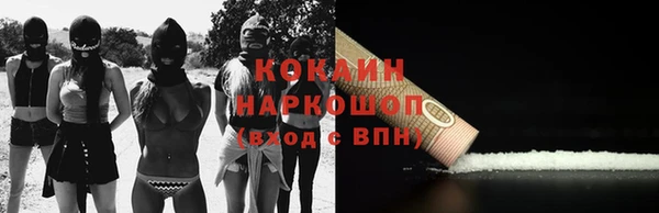 стаф Аркадак