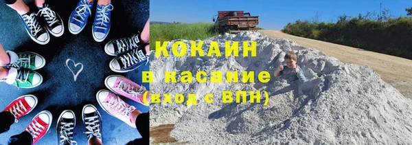мяу мяу мука Арсеньев