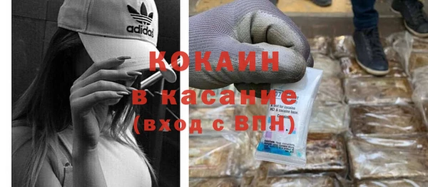 стаф Аркадак