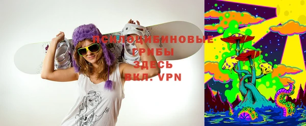 стаф Аркадак
