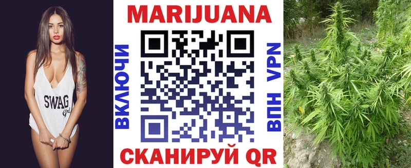 Бошки марихуана конопля  Артёмовский 